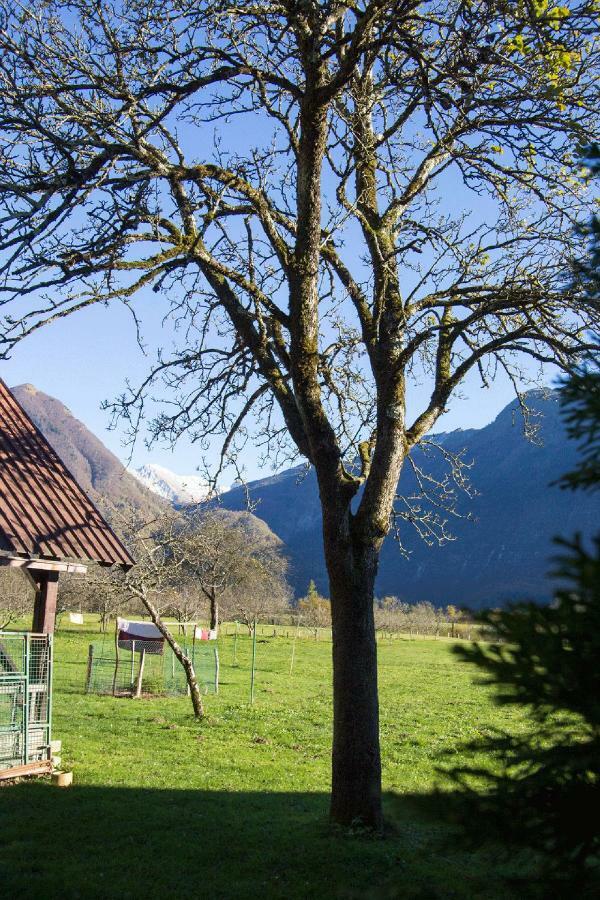 Apartment Mavrica Bovec Luaran gambar